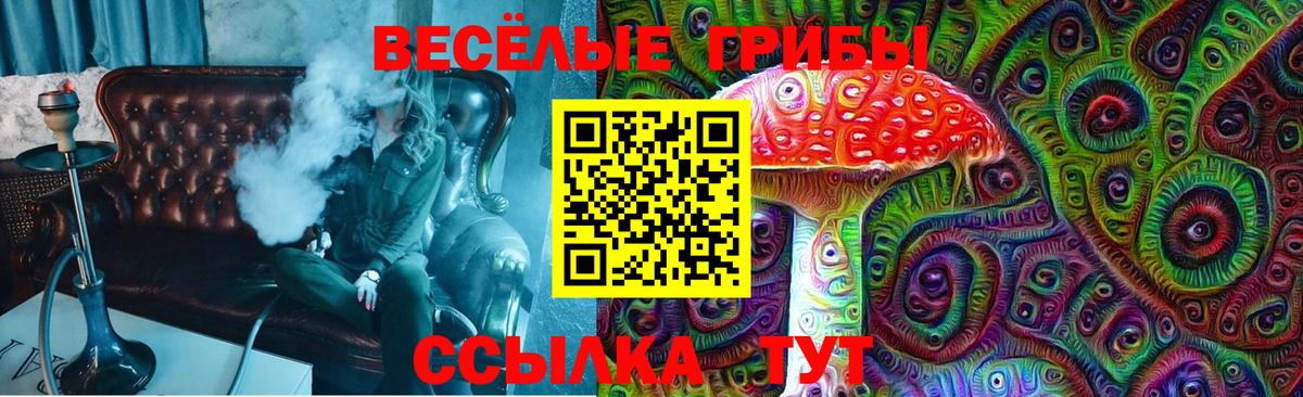 купить   Вход с VPN  Красногорск  Псилоцибиновые грибы Magic Shrooms 